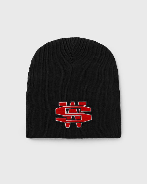 ONE DOLLAR BILL BEANIE
