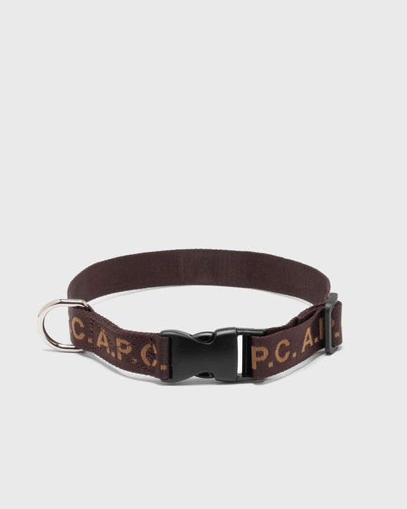 collier chien APC