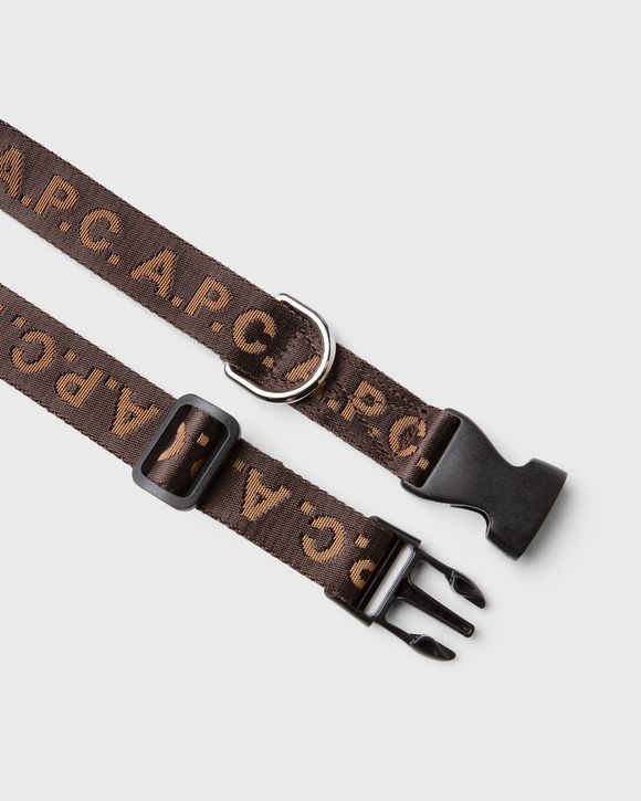 collier chien APC