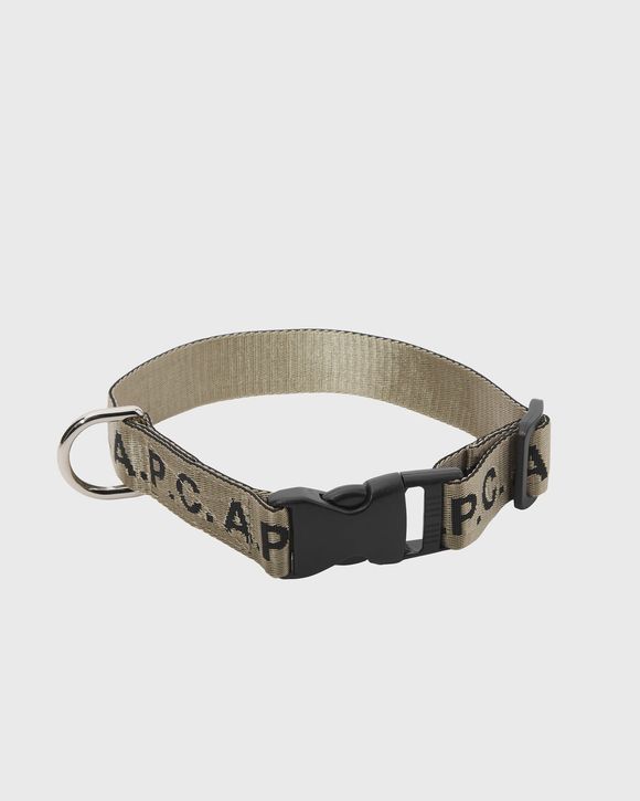 DOG COLLAR
