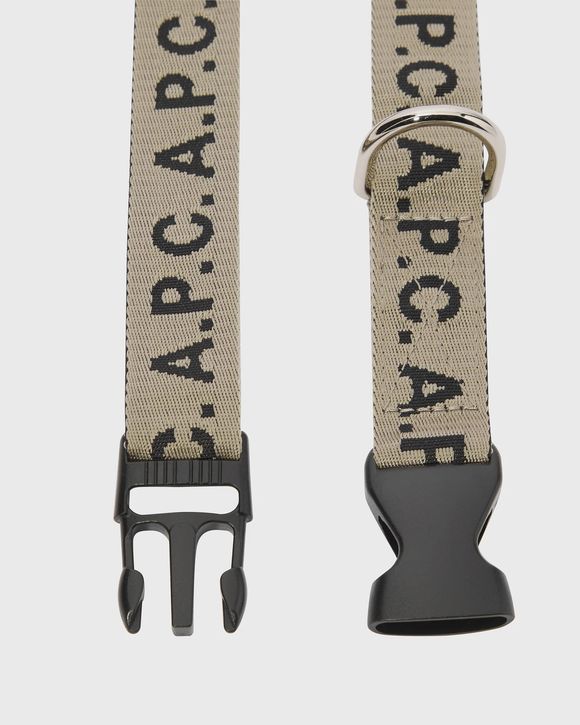 DOG COLLAR