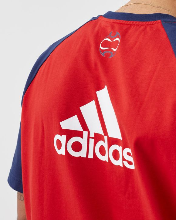FC BAYERN MÜNCHEN TEAMGEIST TEE