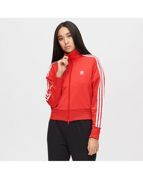 20191216-stephanie-ferhat7971