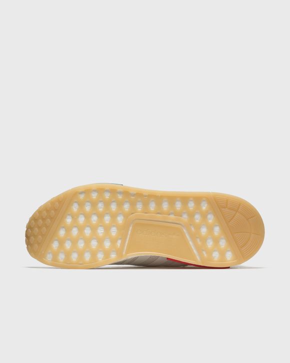 NMD_R1