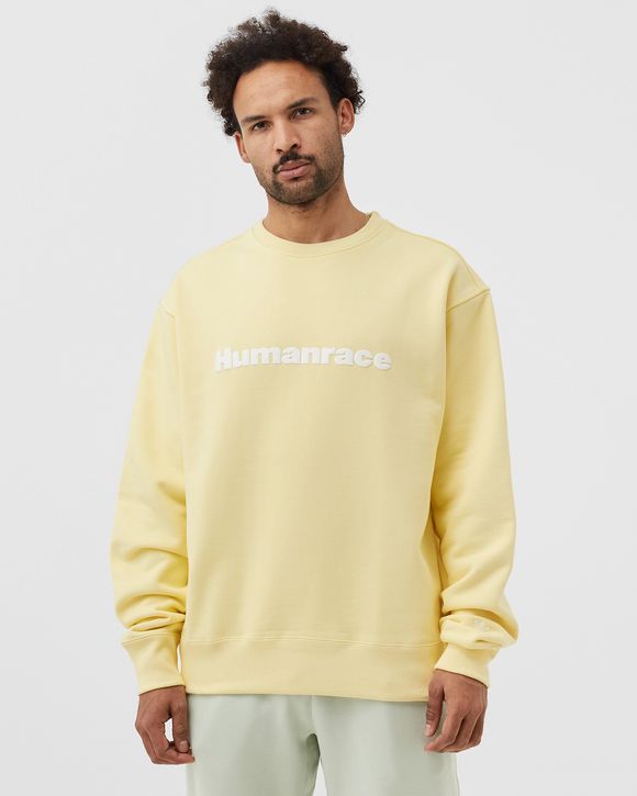 PW BASICS CRW