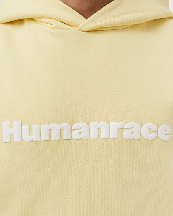 PW BASICS HOOD