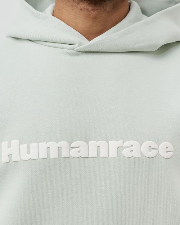 PW BASICS HOOD