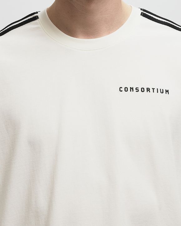 TEE CONSORTIUM