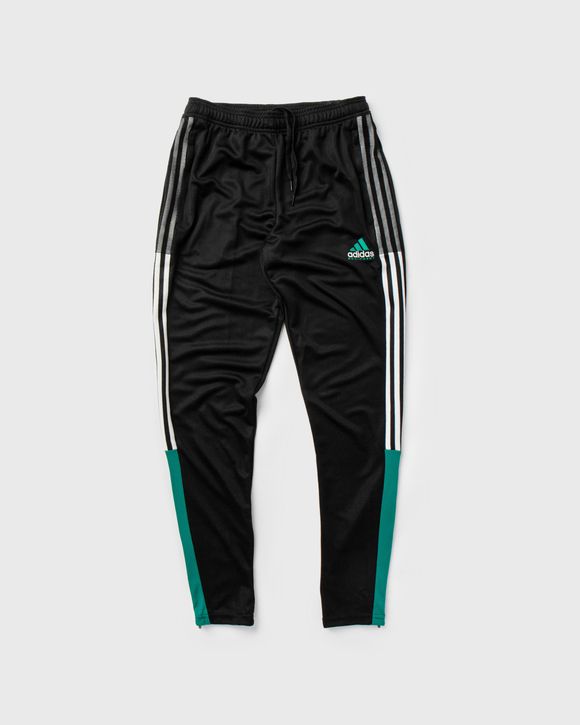 TIRO TRACK PANT
