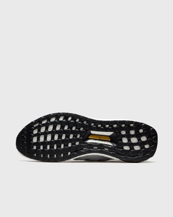ULTRABOOST 1.0 DNA