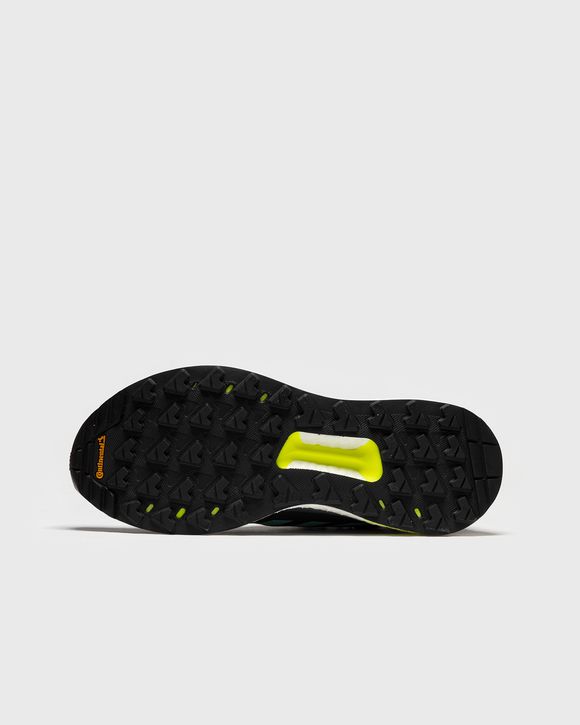 WMNS TERREX FREE HIKER GTX