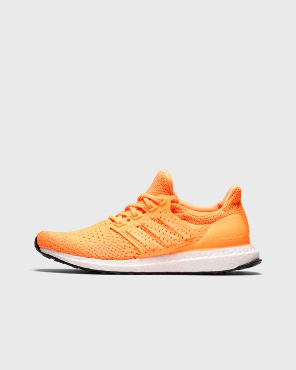 WMNS ULTRABOOST CLIMA DNA