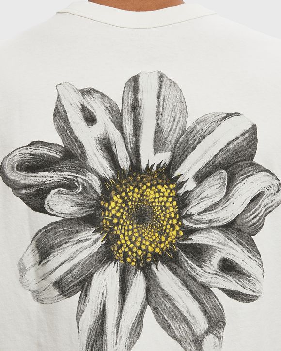 PETALS SS CREW