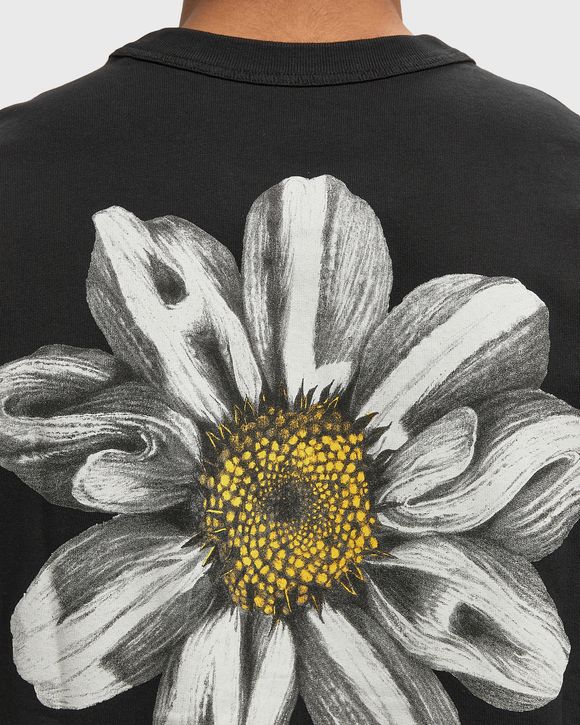 PETALS SS CREW