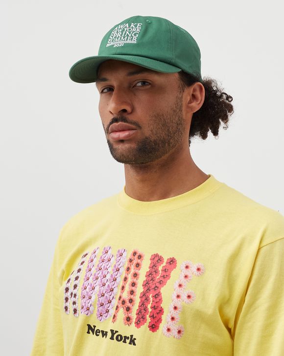 AWAKE NY 6 PANEL HAT