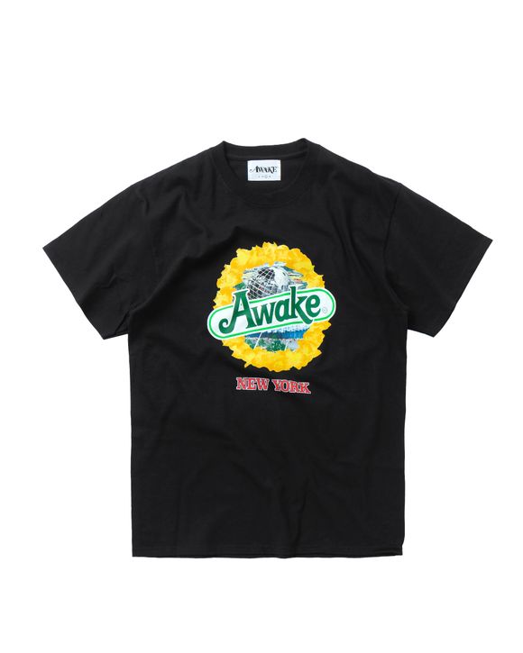 STRAWBERRY KIWI TEE