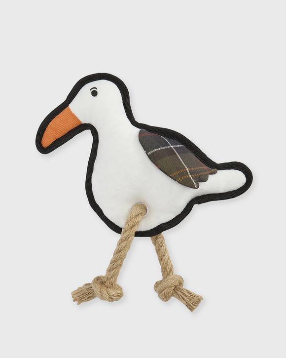Dog Seabird To