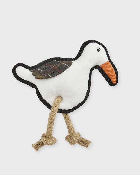 Dog Seabird To