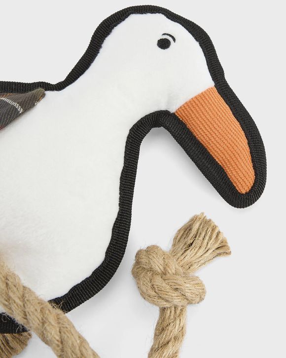Dog Seabird To