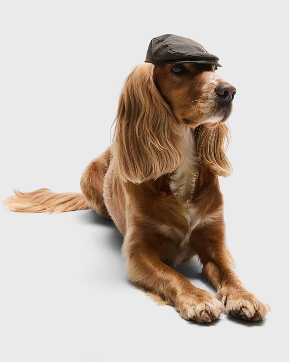Dog Wax Flat C