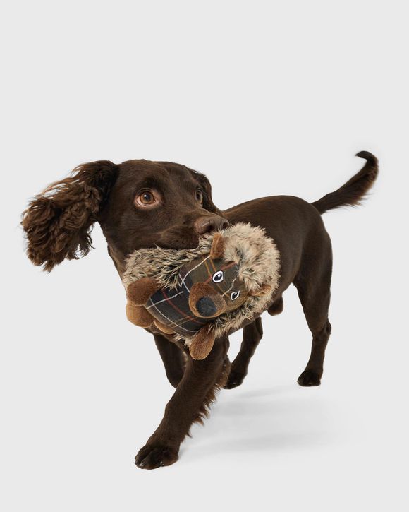 Hedgehog Toy