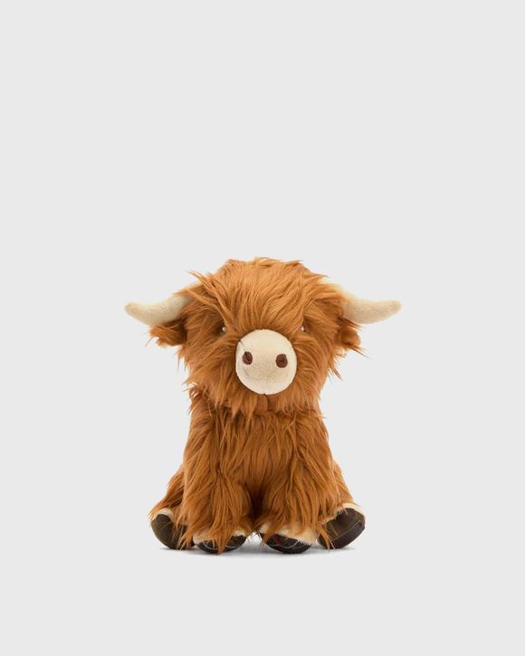 Highland Cow