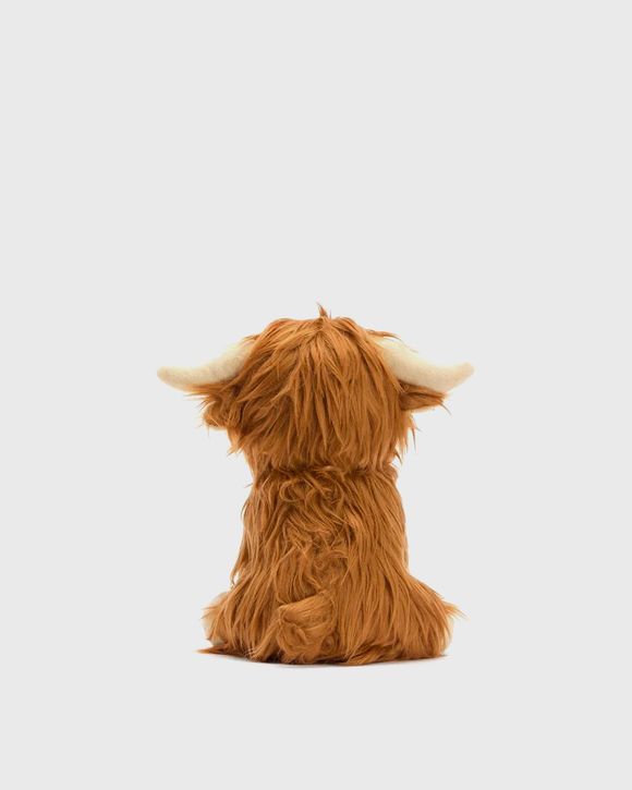 Highland Cow