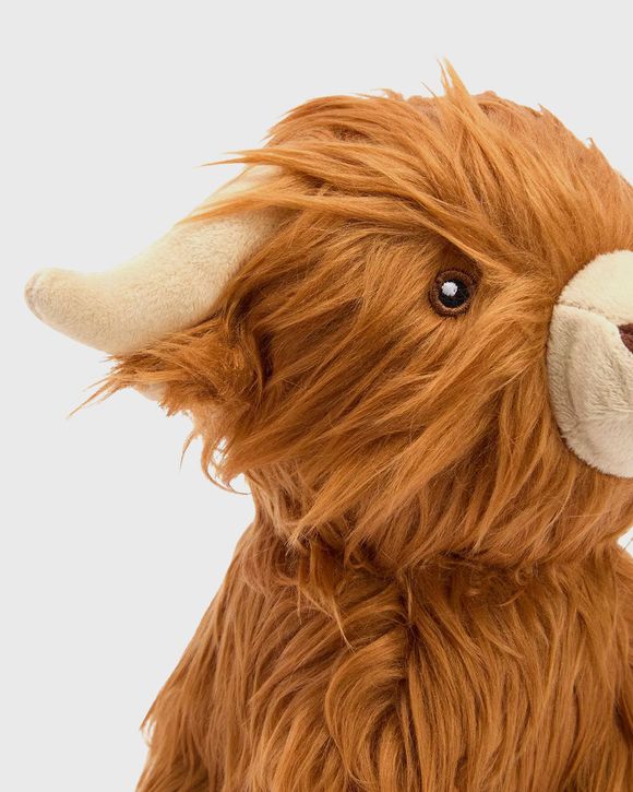 Highland Cow