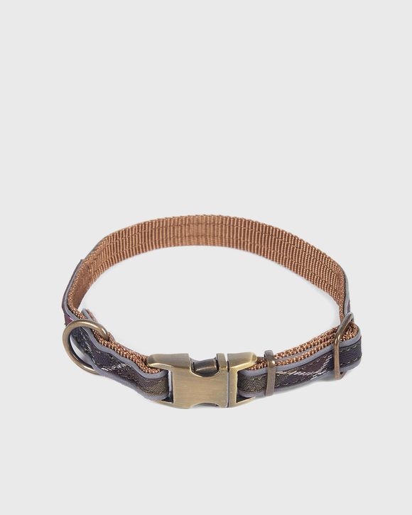 Refle Dog Coll