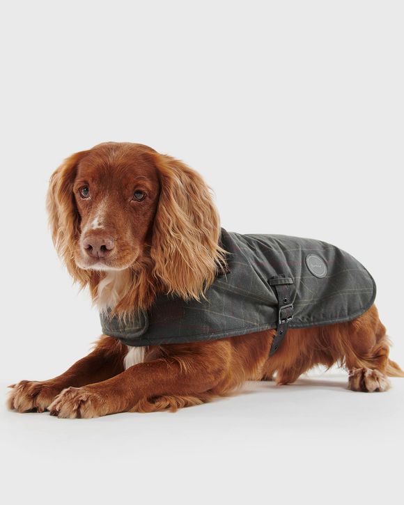 Tar Wx Dog Ct