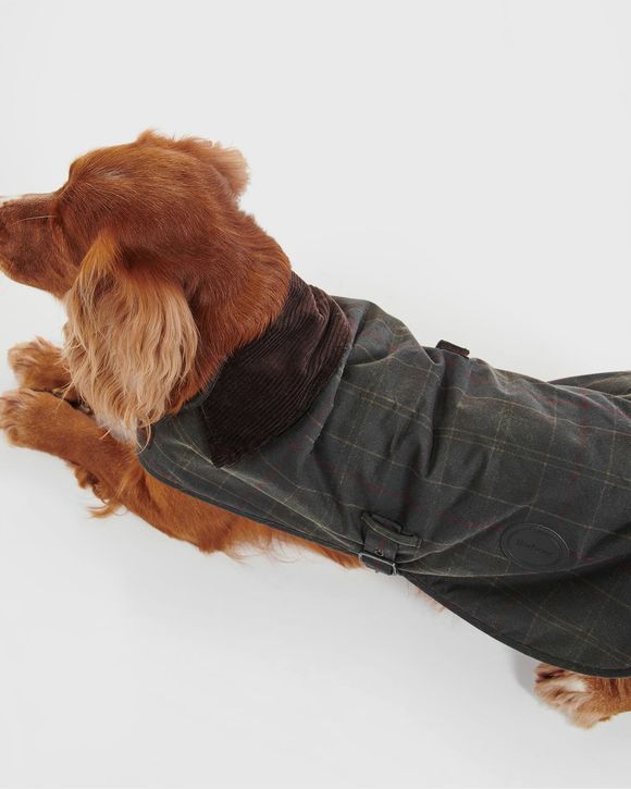 Tar Wx Dog Ct