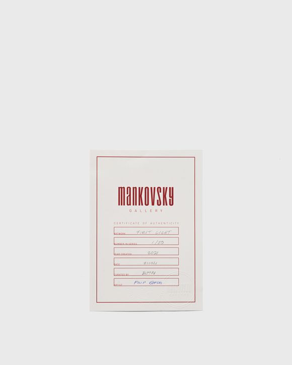 BEASTIN x MANKOVSKY First Light