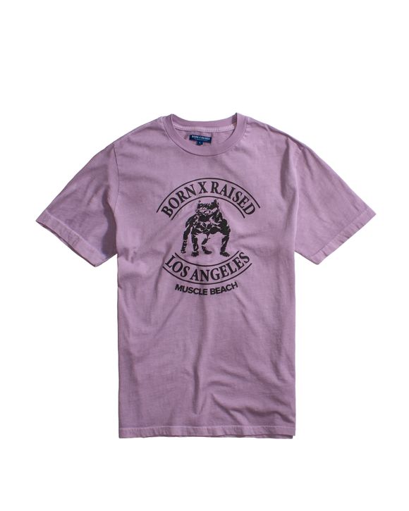 b0001mscl-01