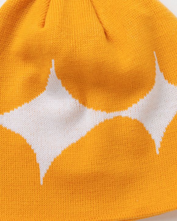 Logo Skully Beanie