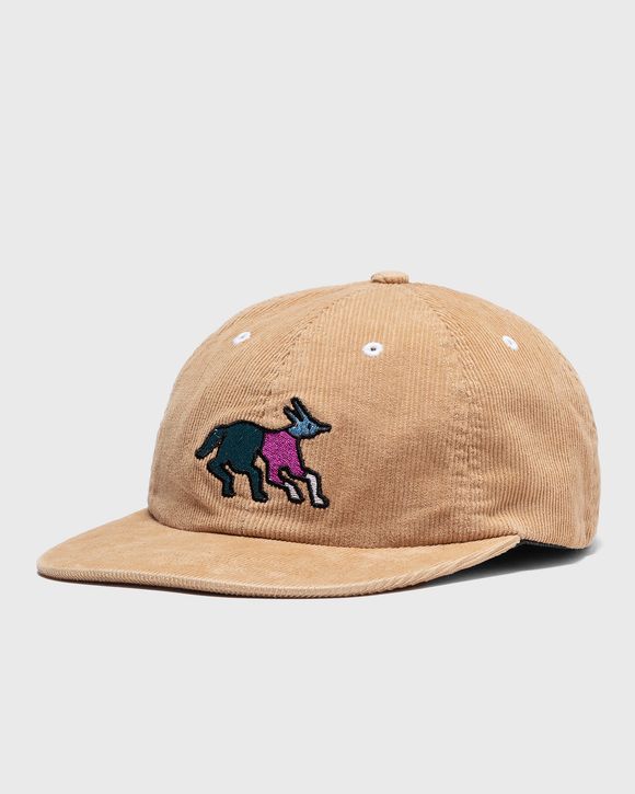 Anxious Dog 6 Panel Hat