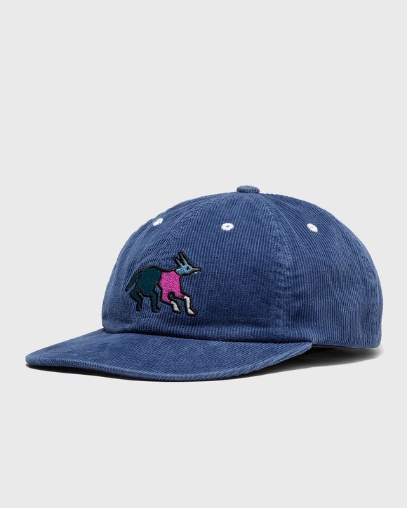 Anxious Dog 6 Panel Hat