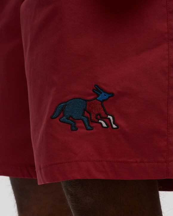 Anxious Dog Shorts