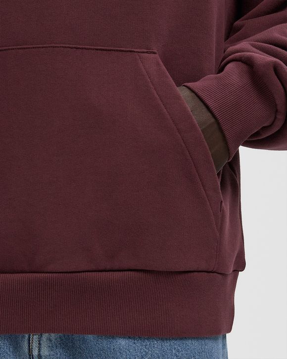 Hooded Ray Sweat