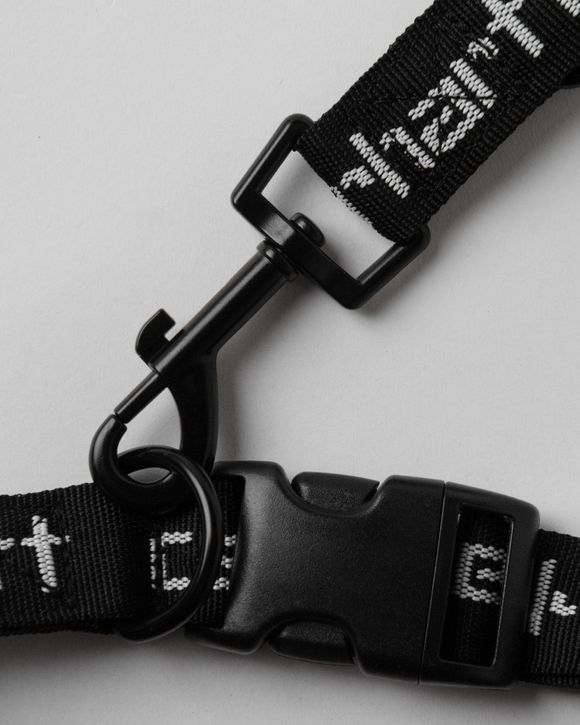 Script Dog Leash & Collar