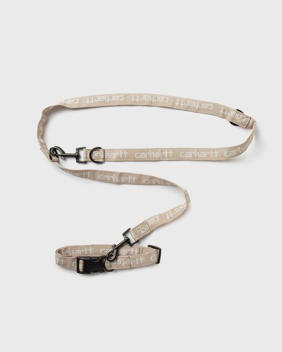 Script Dog Leash & Collar