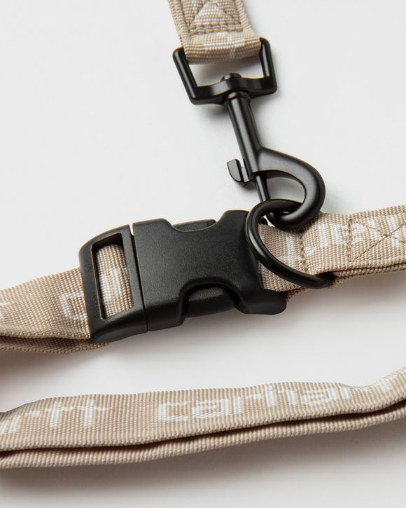 Script Dog Leash & Collar