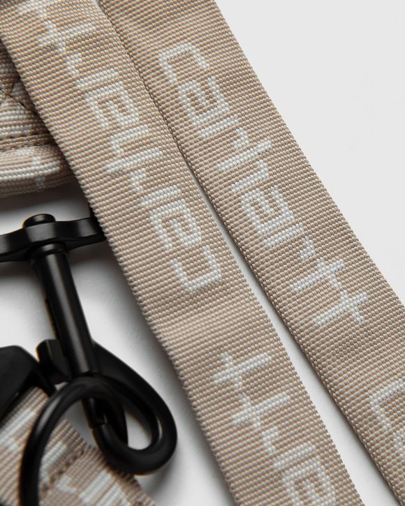 Script Dog Leash & Collar