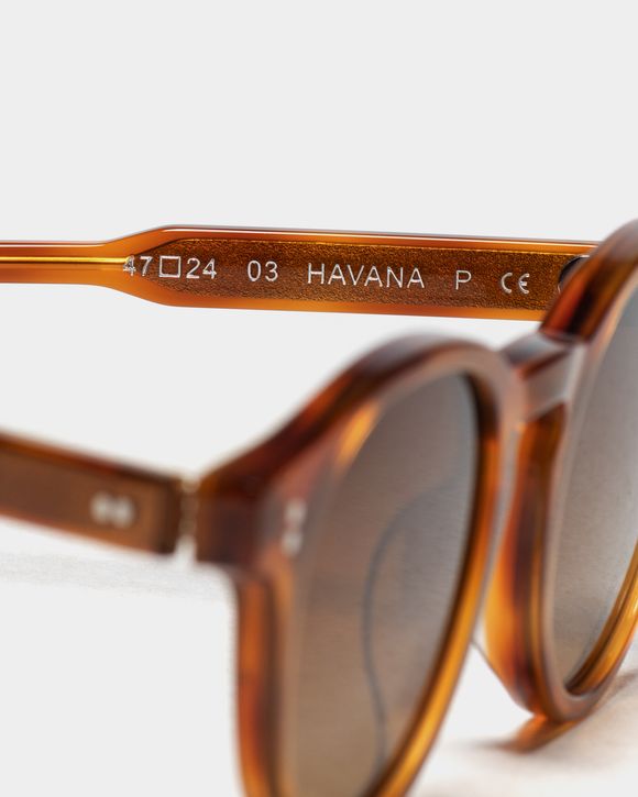 03 HAVANA SUNGLASSES