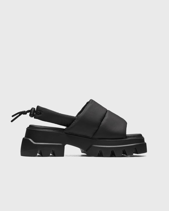 CPH229 nylon