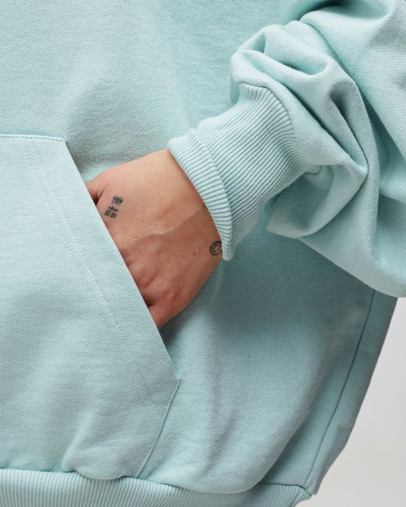 Ecar Hoodie
