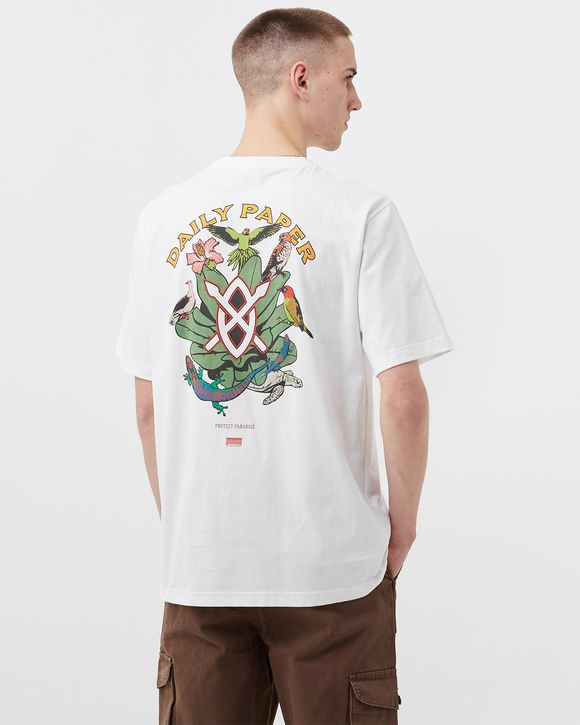 pamle tee