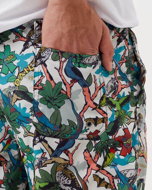 panyin swimshorts