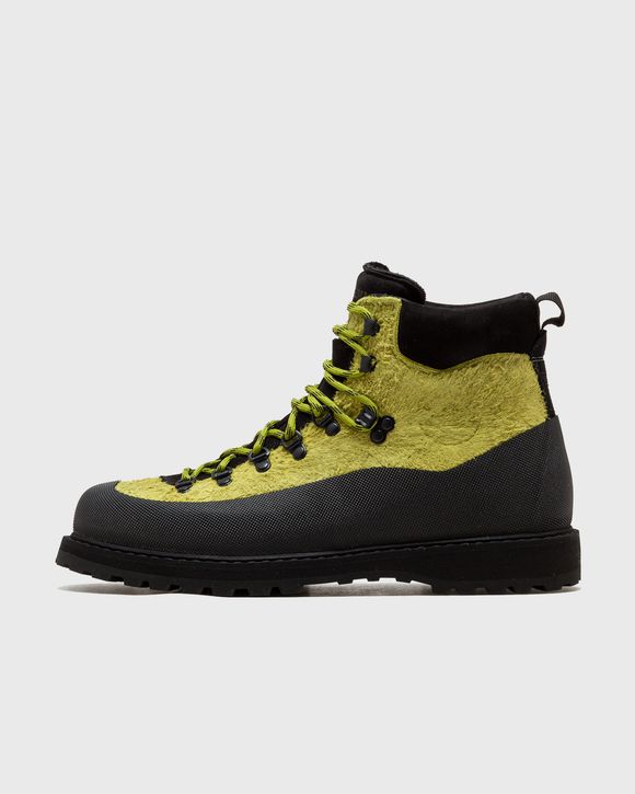 roccia vet sport