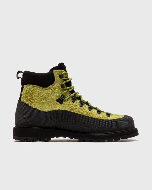 roccia vet sport