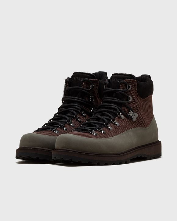 roccia vet sport
